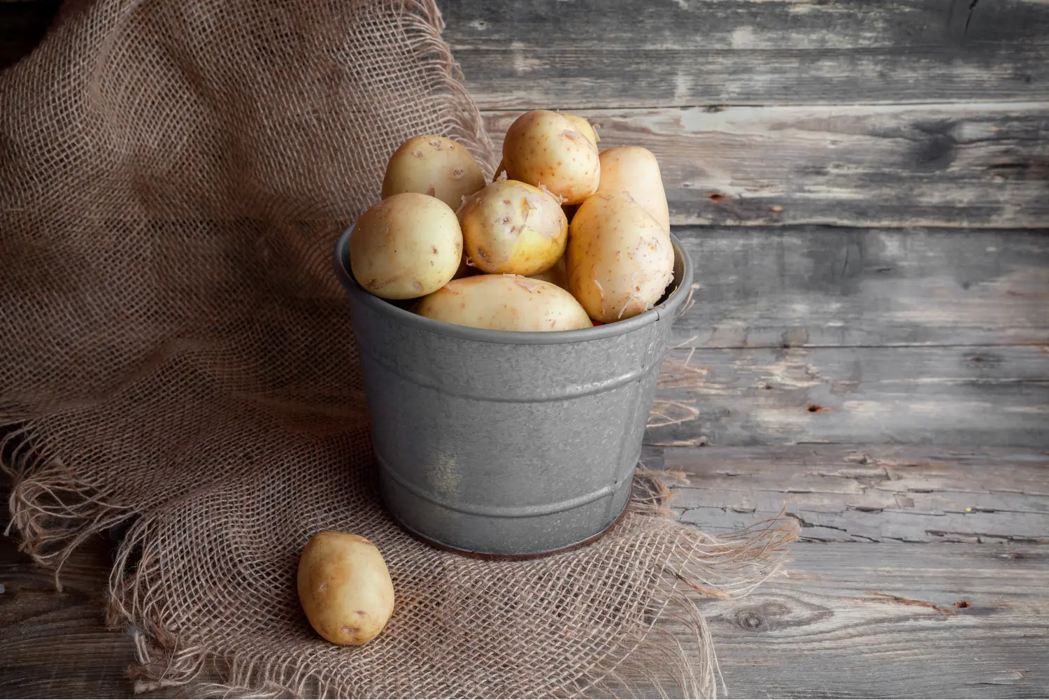 some-potatoes-with-cloth-gray-bucket-dark-wooden-background-side-view